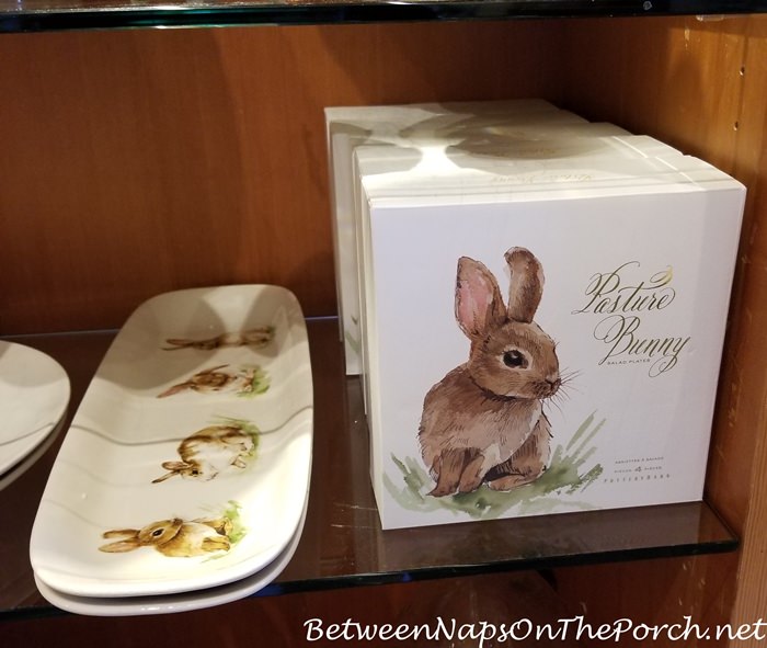 Bunny Dinnerware Plates for Spring and Easter