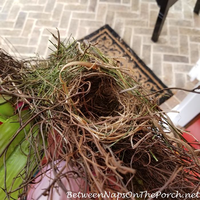 Nest in Spring Wreath