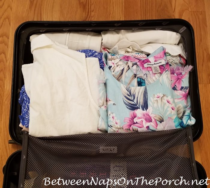 An Away Bigger Carry-on Unboxing: What Color Did I Choose? – Between Naps  on the Porch