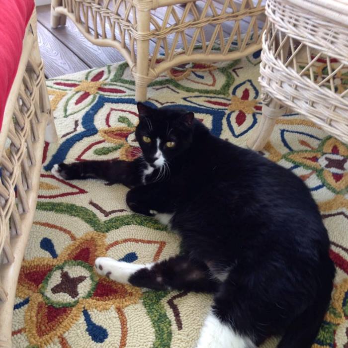 Colorful Rug for Porch