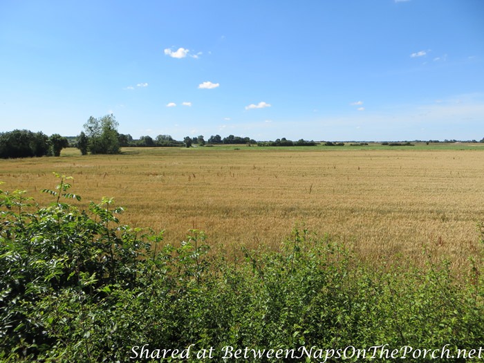 Outdoor Woodland Dinner with beautiful views of fields and a river