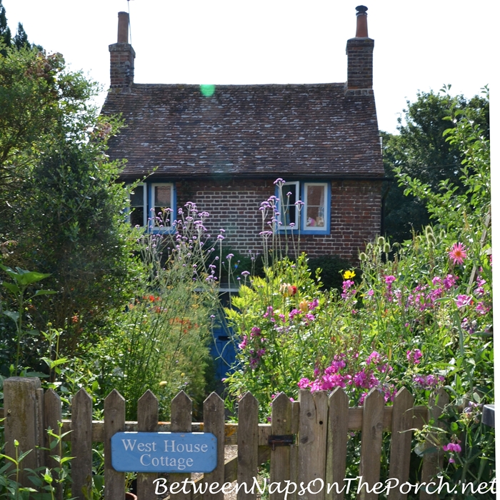 English Cottage and Garden, 2019