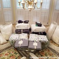 Pottery Barn Dinosaur Bedding for Twin Beds