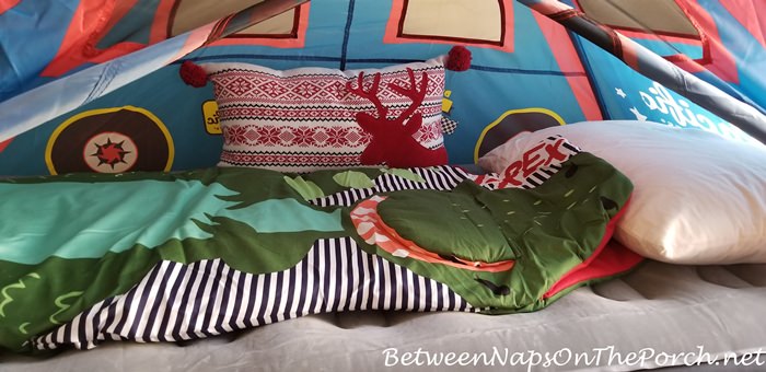 Dinosaur sleeping shop bag camping