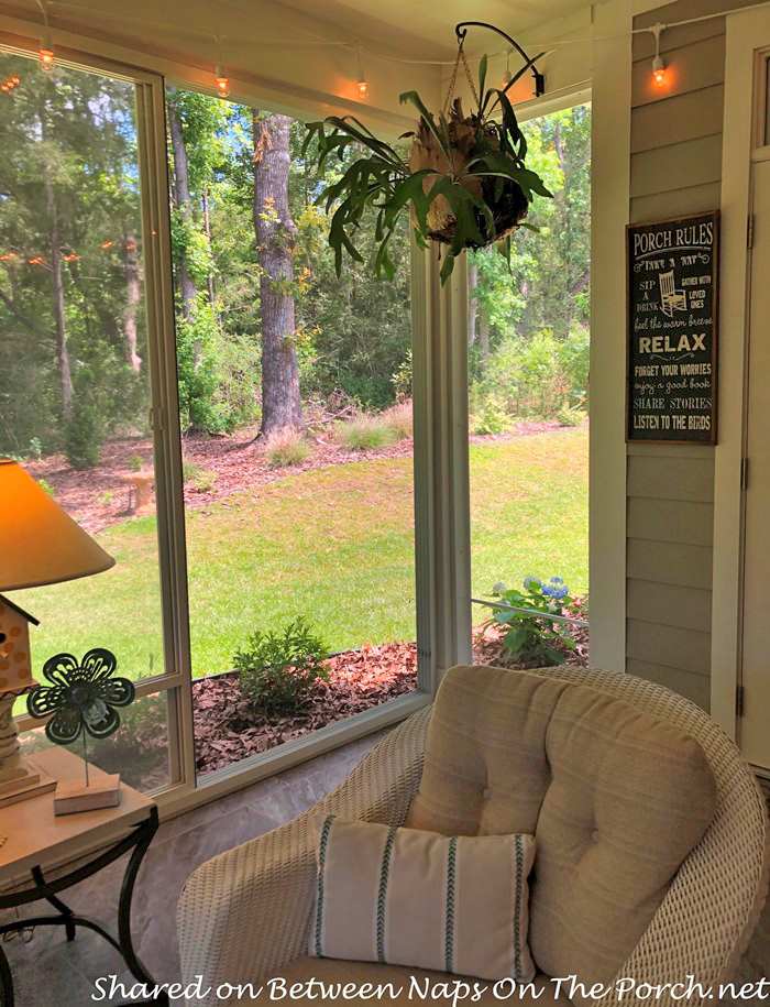 Decorate a Screened Porch, Plants for the Porch