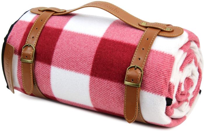 Red and white check picnic blanket