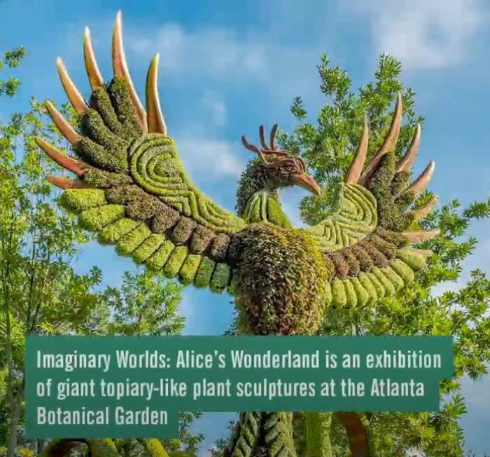 Alice's Wonderland, Atlanta Botanical Garden, Phoenix