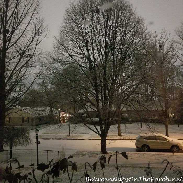 Why Does It Look Light Daytime Outside at Night When It Snows?