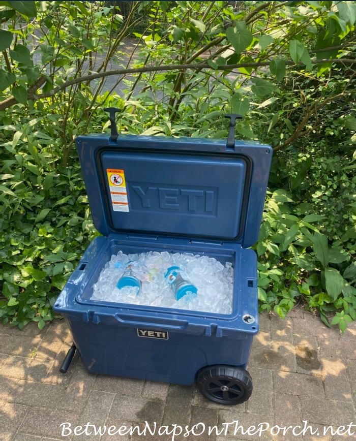 Yeti Tundra Haul Cooler - My Secret Garden