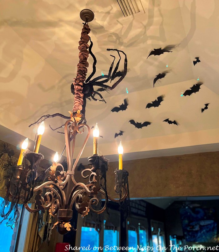Decorate with Bats for Halloween