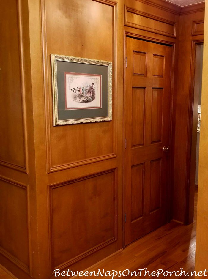 Framed Bird Prints for Paneled Hall