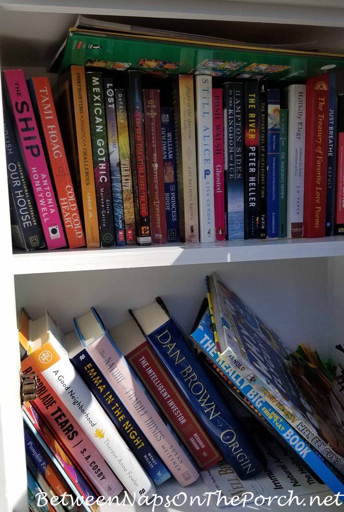 Books inside Little Free Library