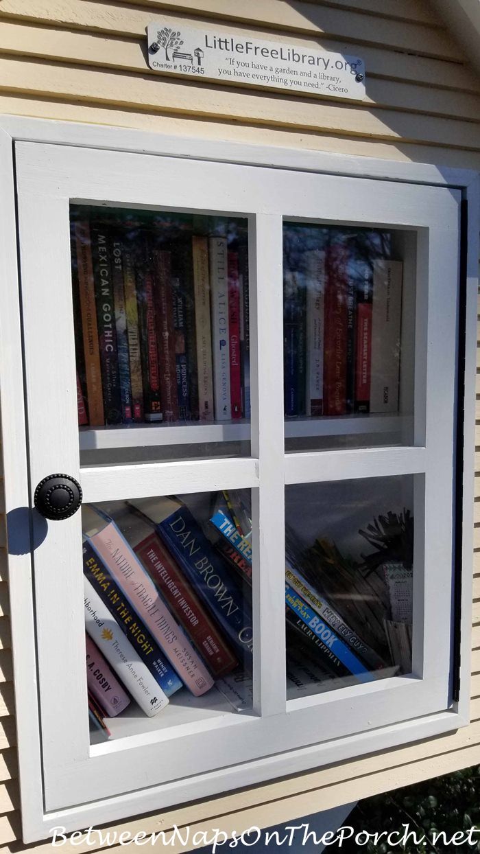 Door Design for Little Free Library