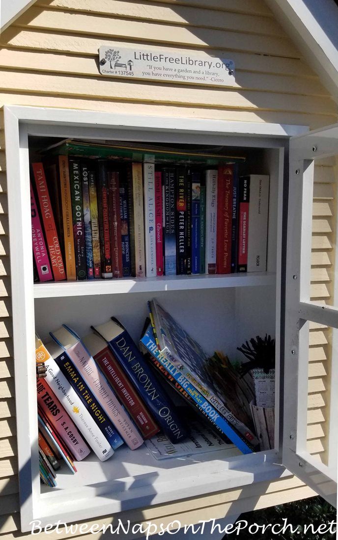 Peek Inside a Little Free Library