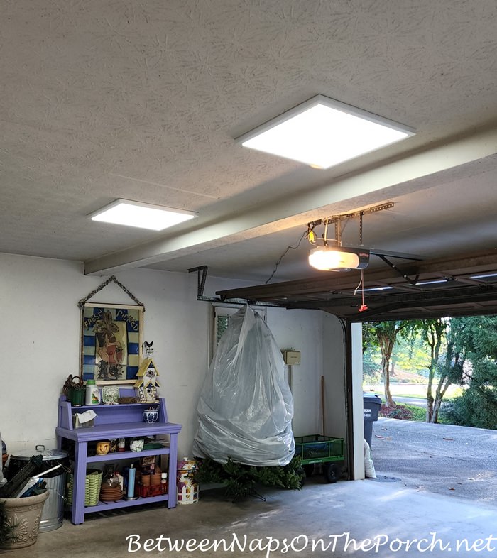 Garage Makeover in Progress