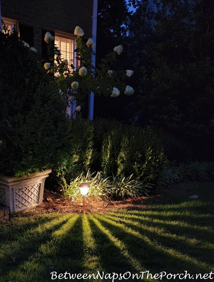 Solar Lights for Path or Walkway