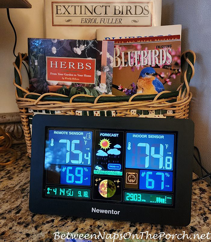 Favorite Weather Station, Colorful Display