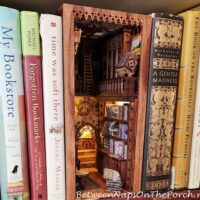 Books about Books with Booknook of a Bookstore