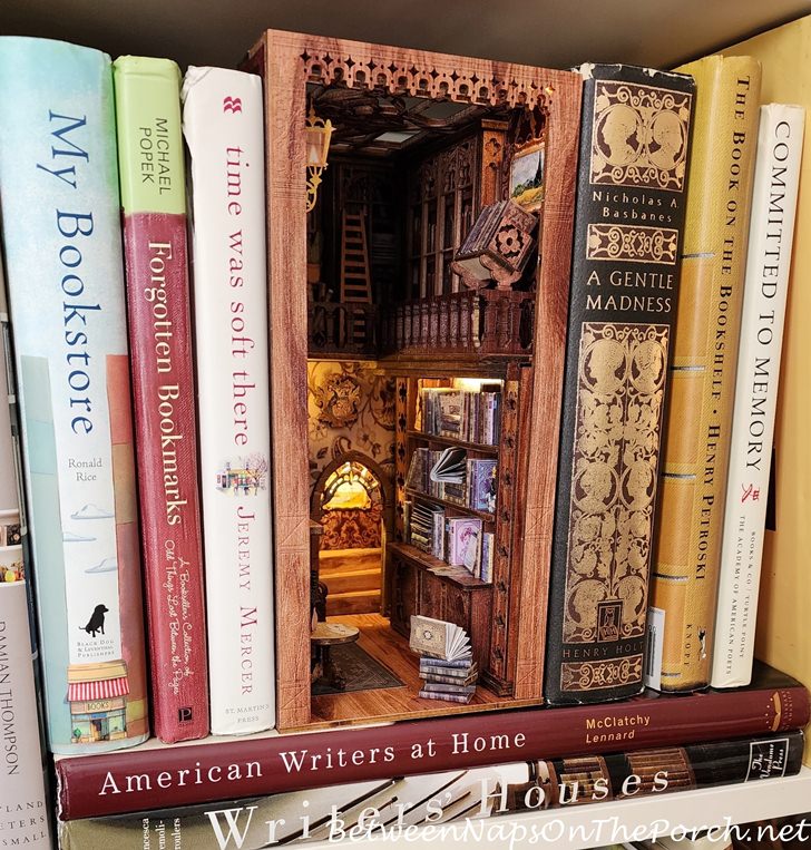 Bookstore Book Nook, surrounded by books about books