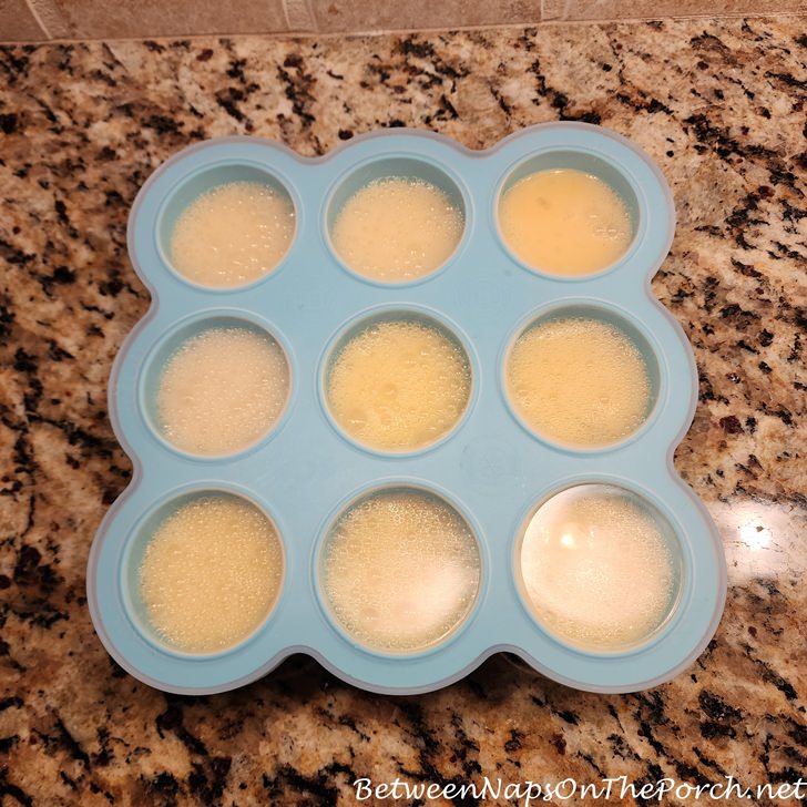 Eggs in Container, Ready to Freeze