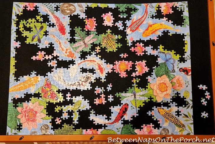 Puzzle with Fish, Frogs and Dragonflies