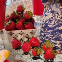 Naughty Ants Stealing Strawberries, Summer Table Setting
