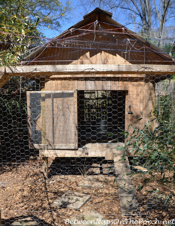 Chicken Coop on Urban Coop Tour