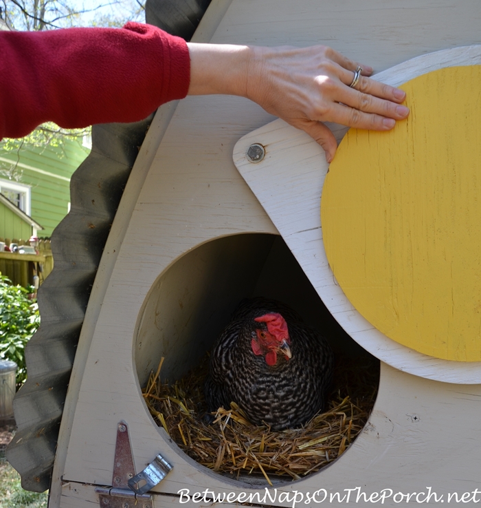 Chicken Coop with Remote Controlled Door