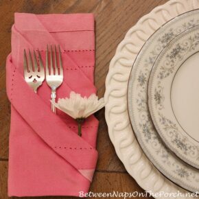 Napkin Fold Ideas