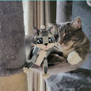 Lego Cat, Adorable