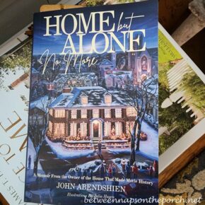 Home But Alone No More Book by John Abendshien