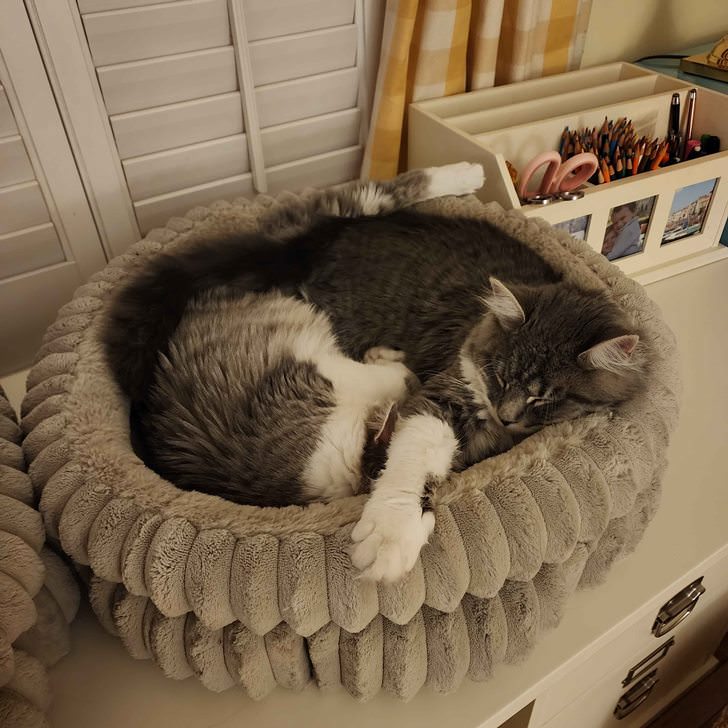 Beatrice and Agatha Sleeping Together