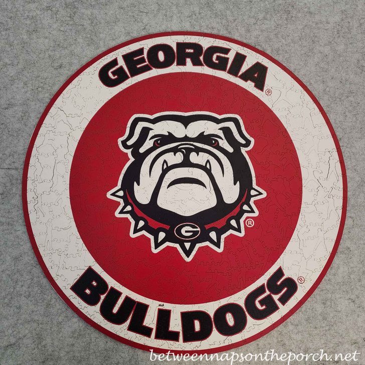 Georgia Bulldogs Puzzle after preserving it to be framed