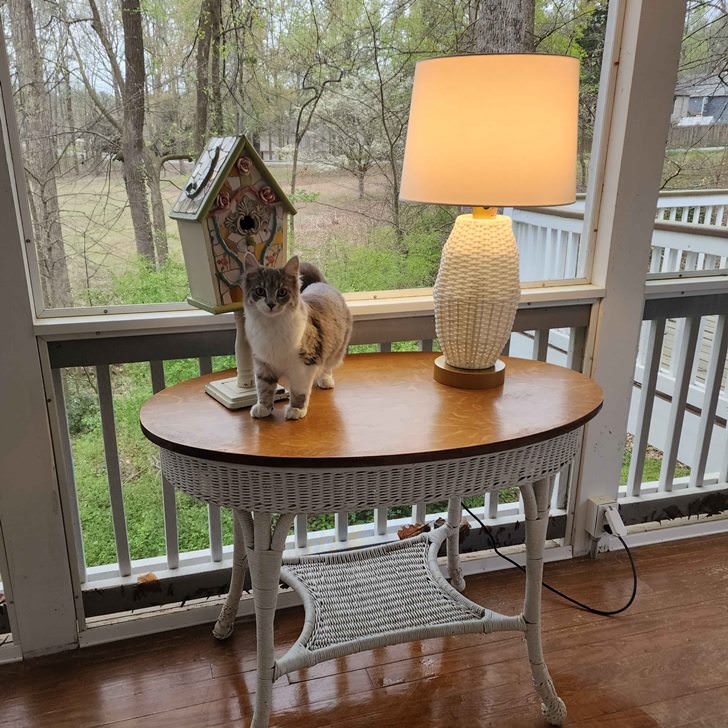 Lamp for Screened Porch, Outdoor Lamp