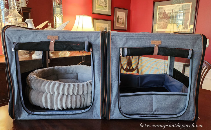 Large Pet Carrier, Comes with Litter Box for Cats