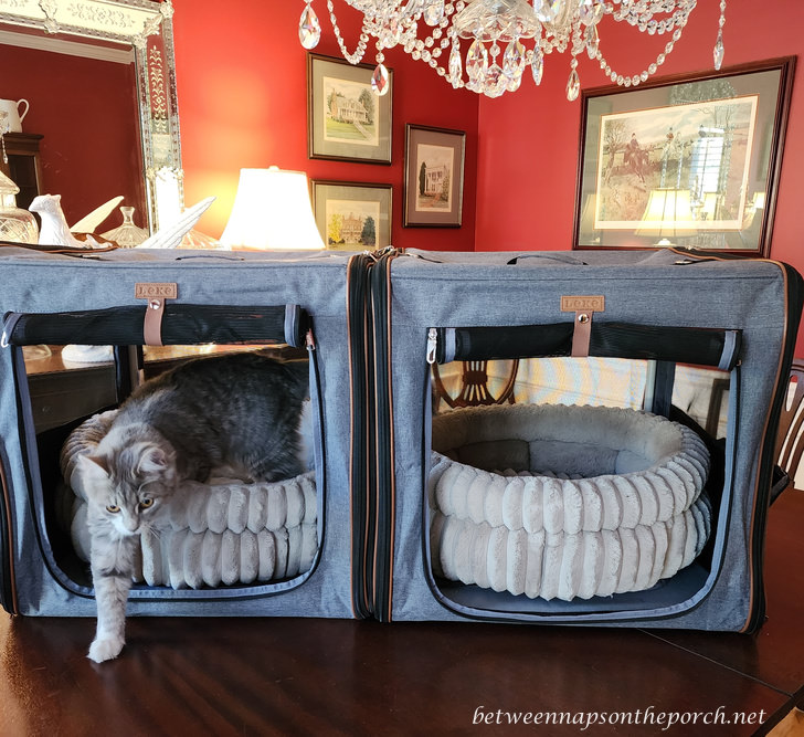 Large Travel Car Carrier for Cats and Dogs