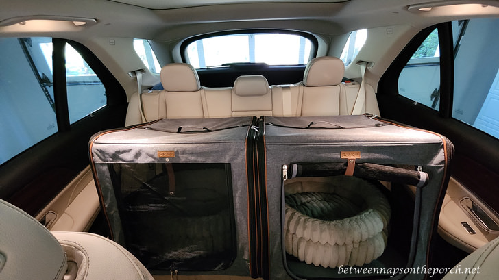 Large cat and dog car carrier, mesh cover down on left side