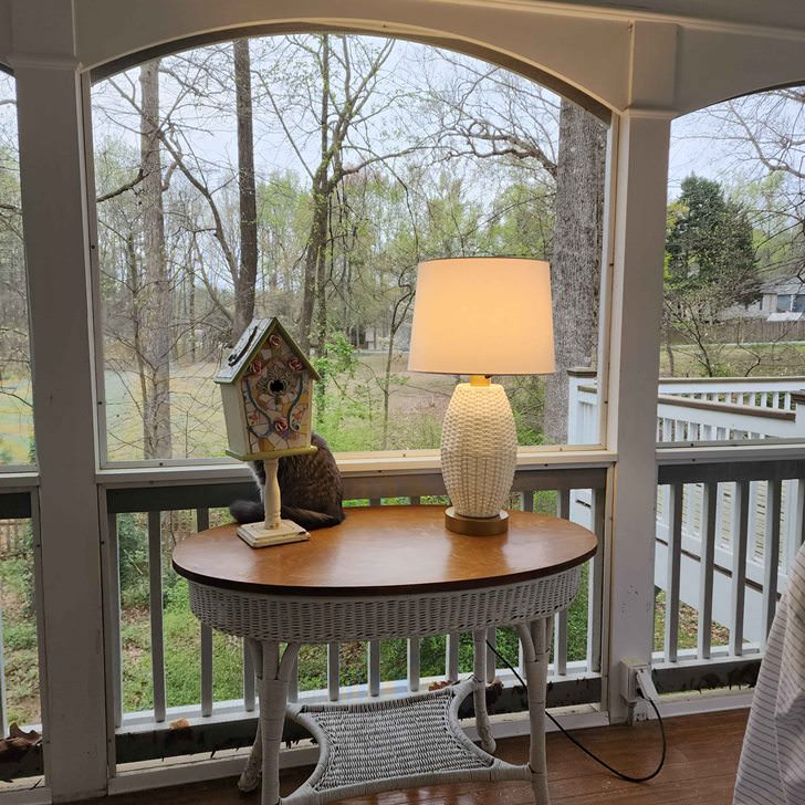 Outdoor Lamp, Great for Screened Porch