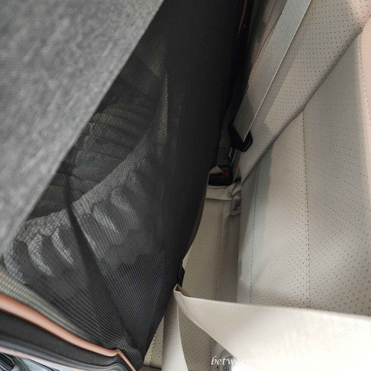 Pet Carrier Hooked in with Seat Belt