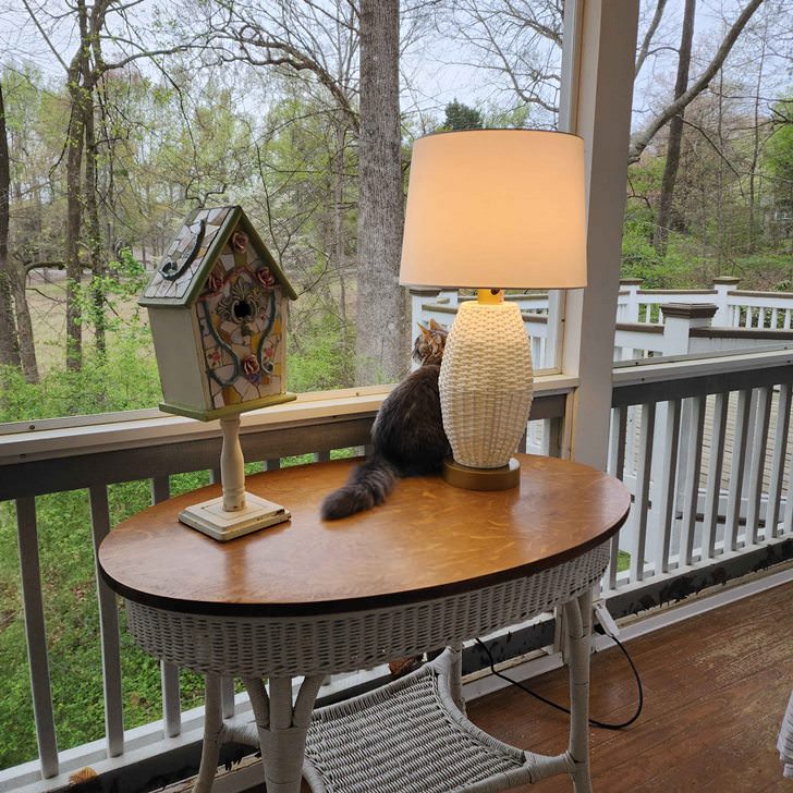 Porch Lamp, great for outdoors