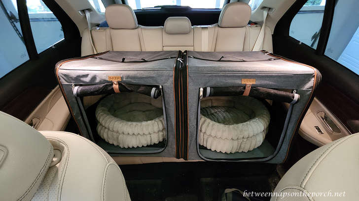 Travel Car Carrier for Cats and Small Dogs