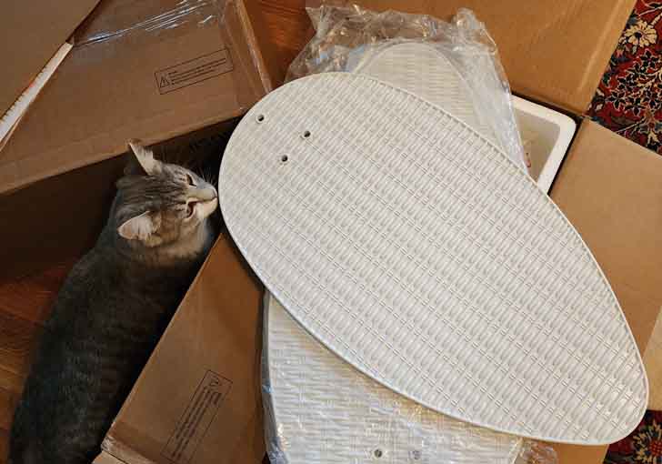 Wicker Style Ceiling Fan, Nosy Kitty