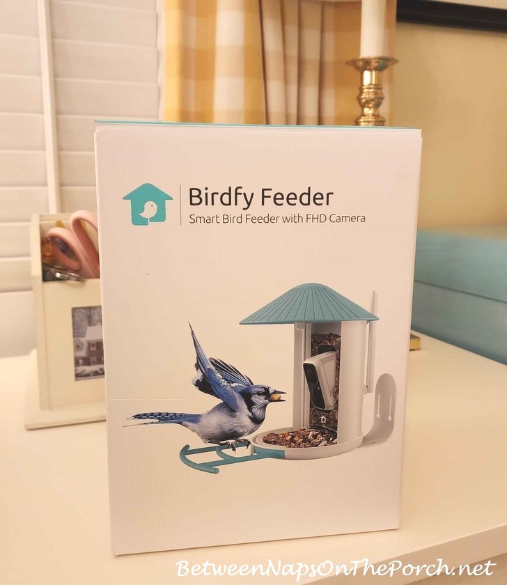 Birdfy Birdfeeder with Camera to record Birds