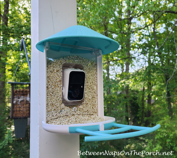 Birdfy Birdfeeder installed on deck-pergola post