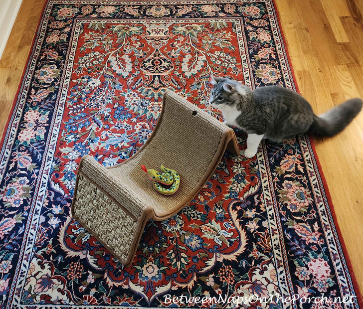 Scratching Surface for Cats Who Prefer to Scratch on Rugs and Carpet