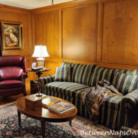 Favorite Light Bulbs for a Cozy Room