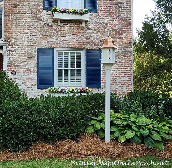 Dovecote, Beautiful Accent in the Garden