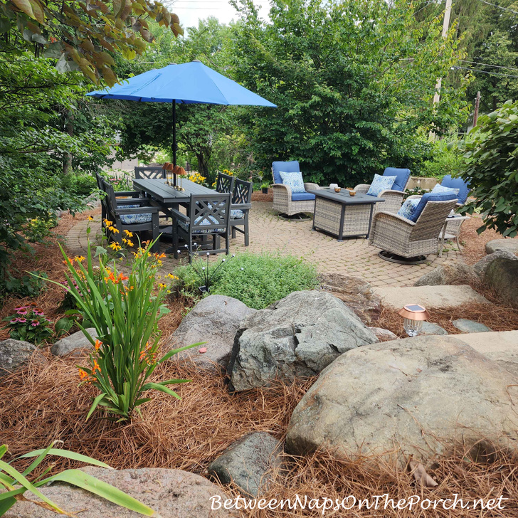 Landscaping a previously weedy backyard