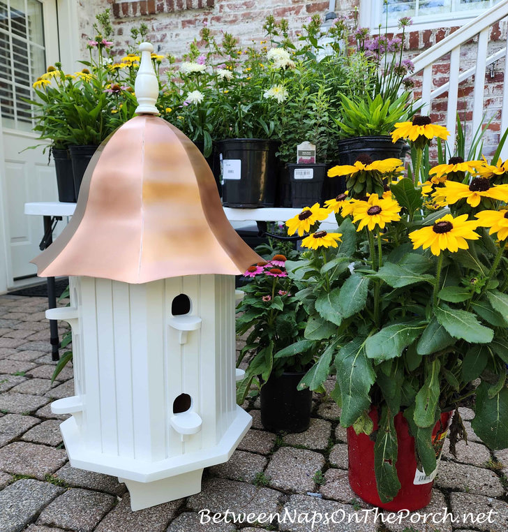 Large Dovecote for the Garden