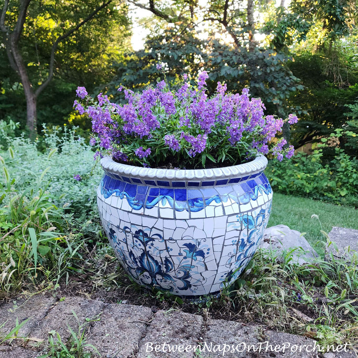 Mosaic Planter with Angelonia,Butterflies love it